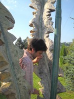 /album/miro-pallo/picture-290-jpg/